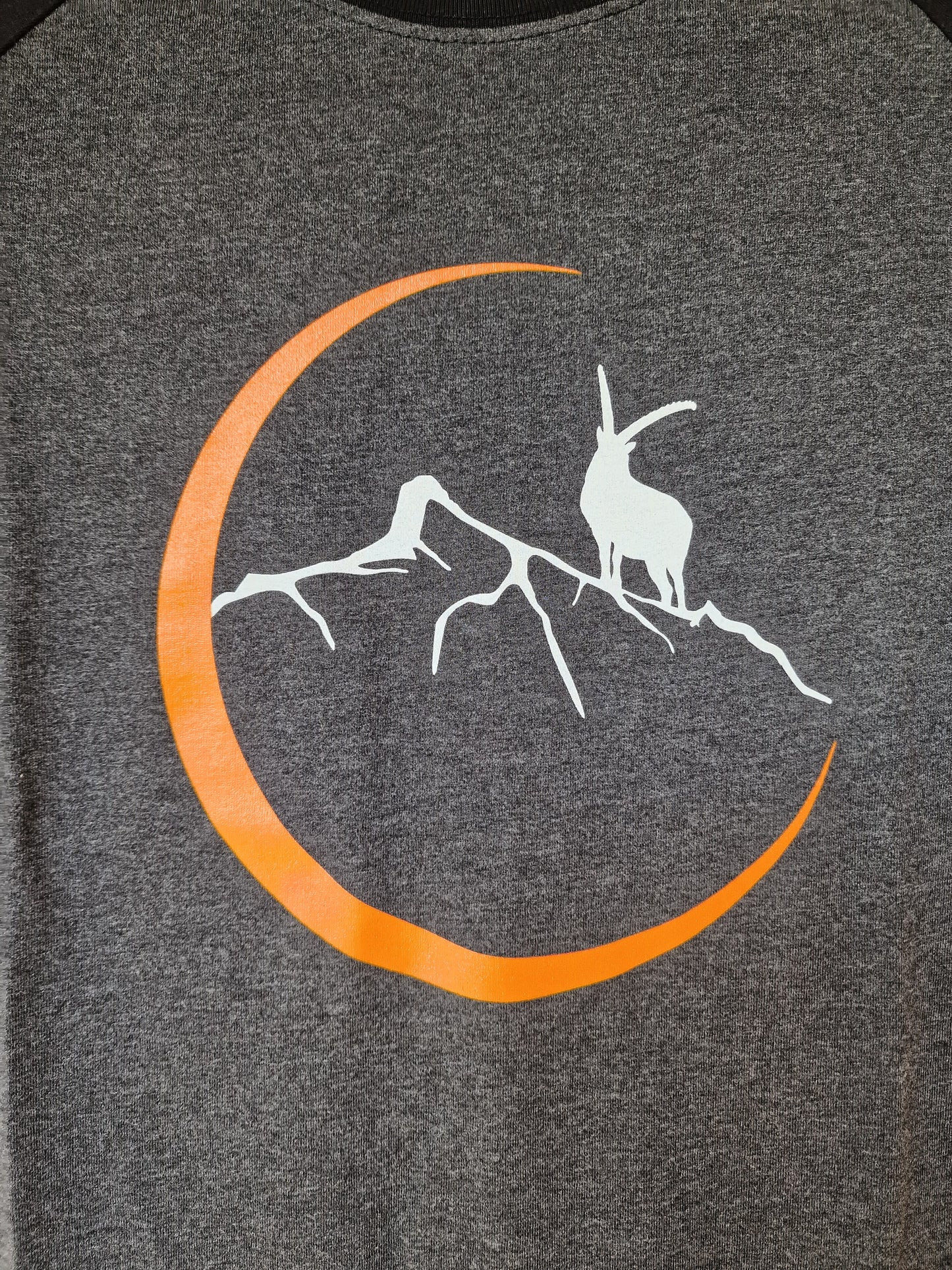 T-Shirt Berninapass (Mann)