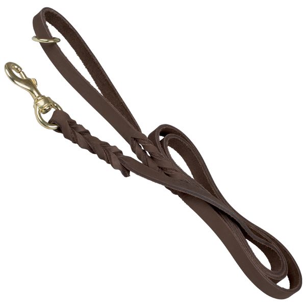 Lederleine mit Schlaufe SCHWARZ