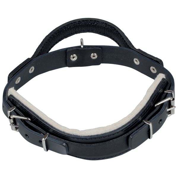 Hetzhalsband