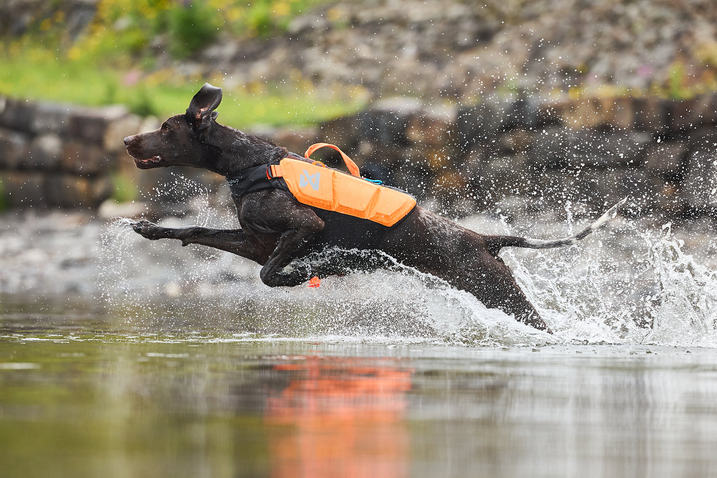 Non-Stop Schwimmweste Protector Teal