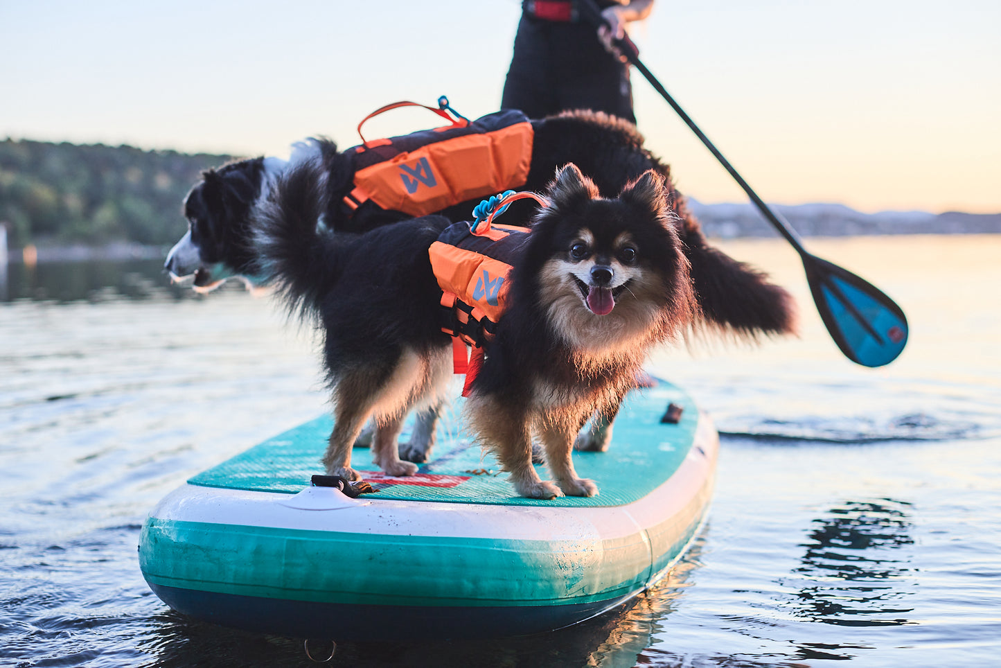 Non-Stop Schwimmweste Protector Teal