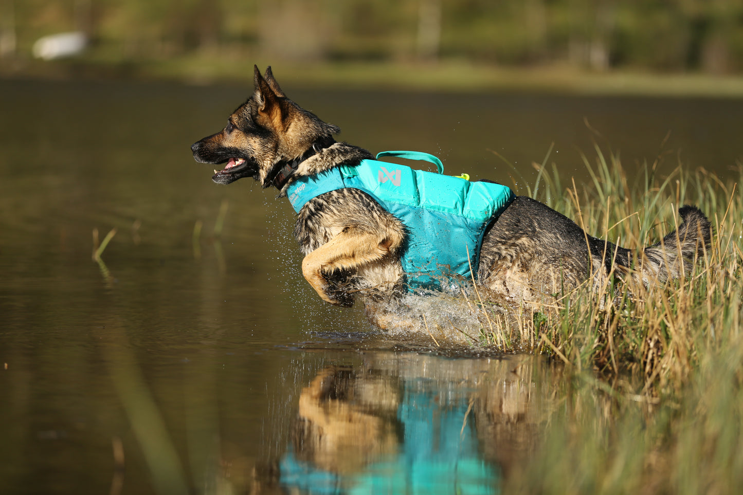 Non-Stop Schwimmweste Protector Teal