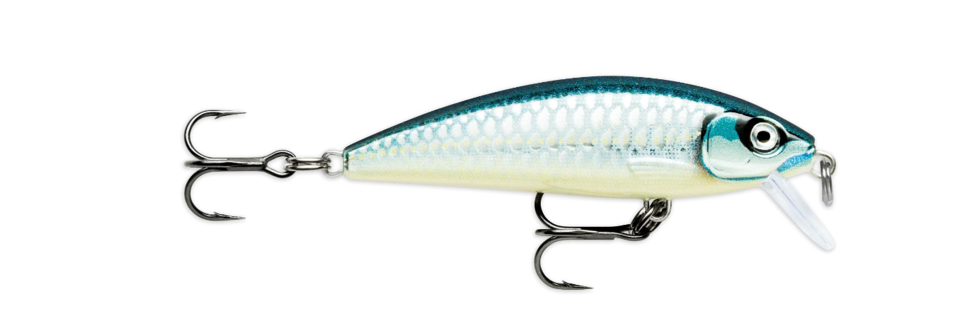 Rapala X-Rap Countdown Baby Aspius 5cm