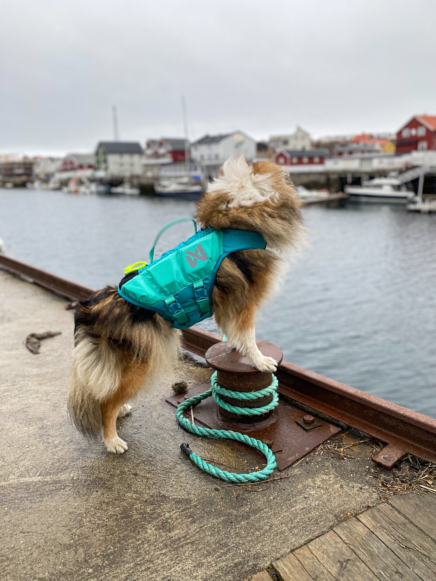 Non-Stop Schwimmweste Protector Teal