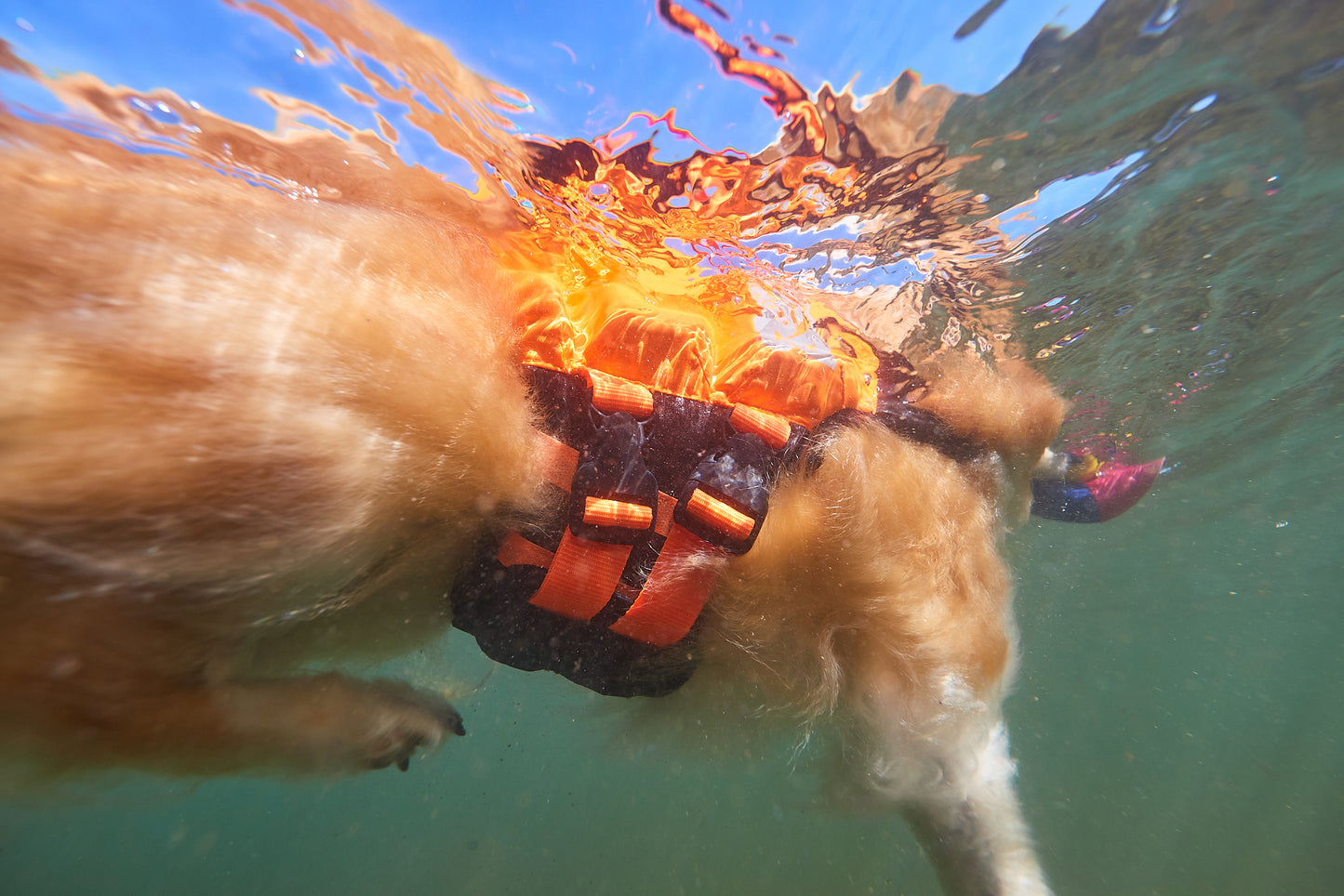 Non-Stop Schwimmweste Protector Teal