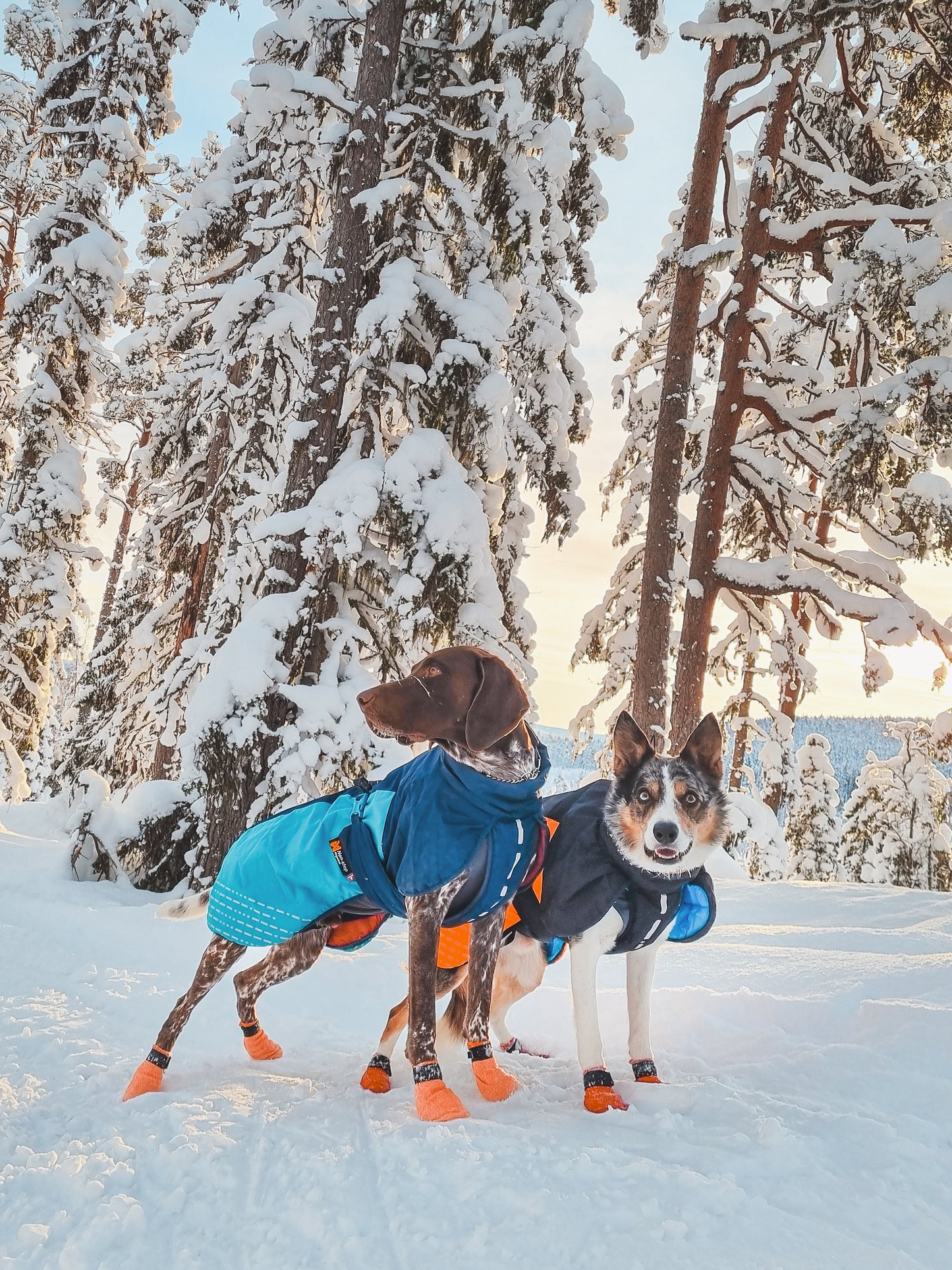 Non-Stop Wintermantel Glacier Jacket 2.0