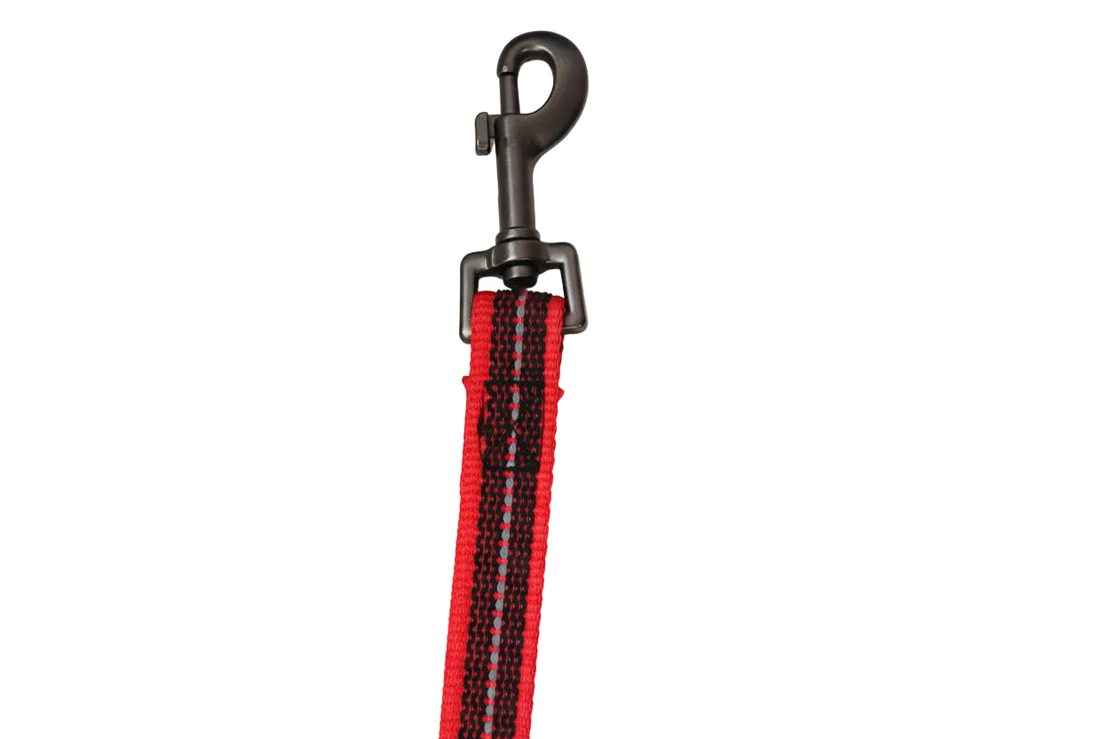 Reflektierende Leine - 10 Meter - ohne Handschlaufe, gummiert