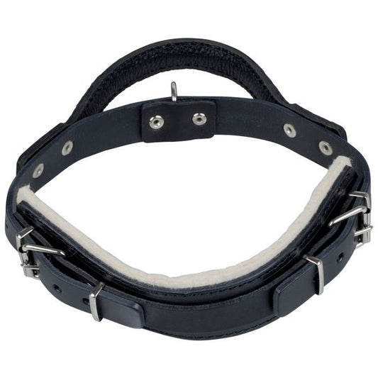Hetzhalsband