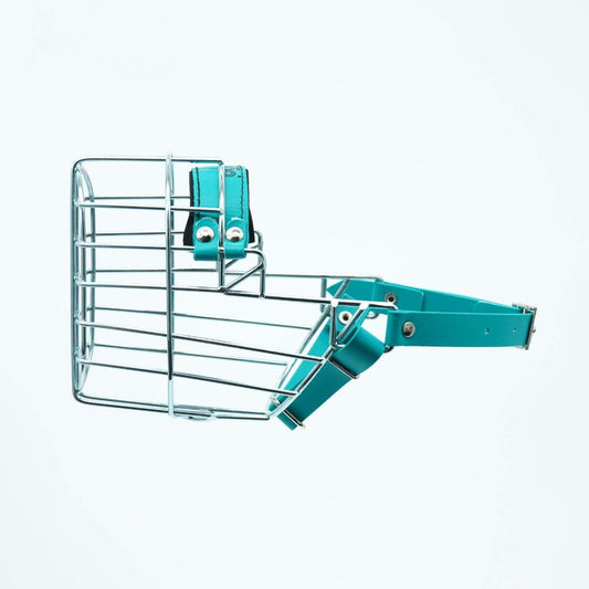 Chopo Maulkorb Biothane - Cocker Spaniel Hündin