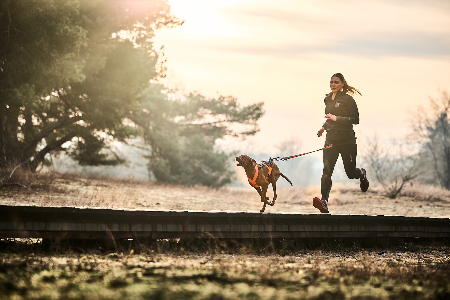 Non-Stop CaniX belt 2.0