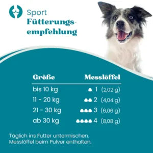 Sport – Muskelaufbau für Hunde