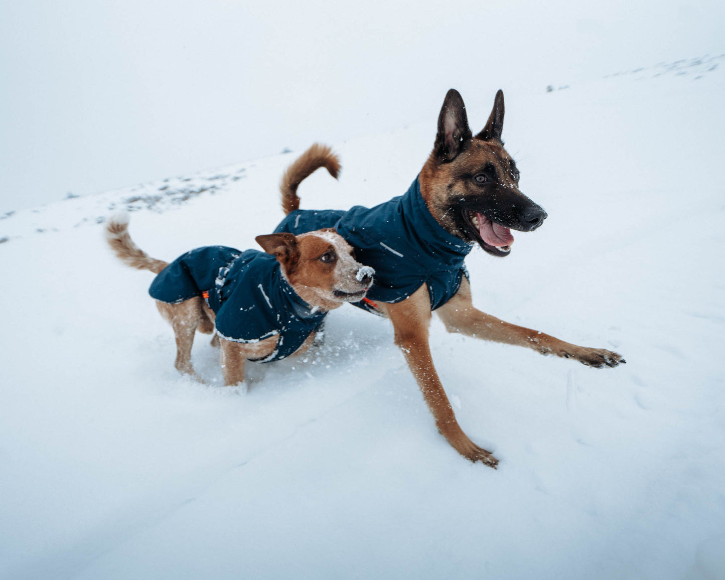 Non-Stop Wintermantel Glacier Wool Jacket 2.0