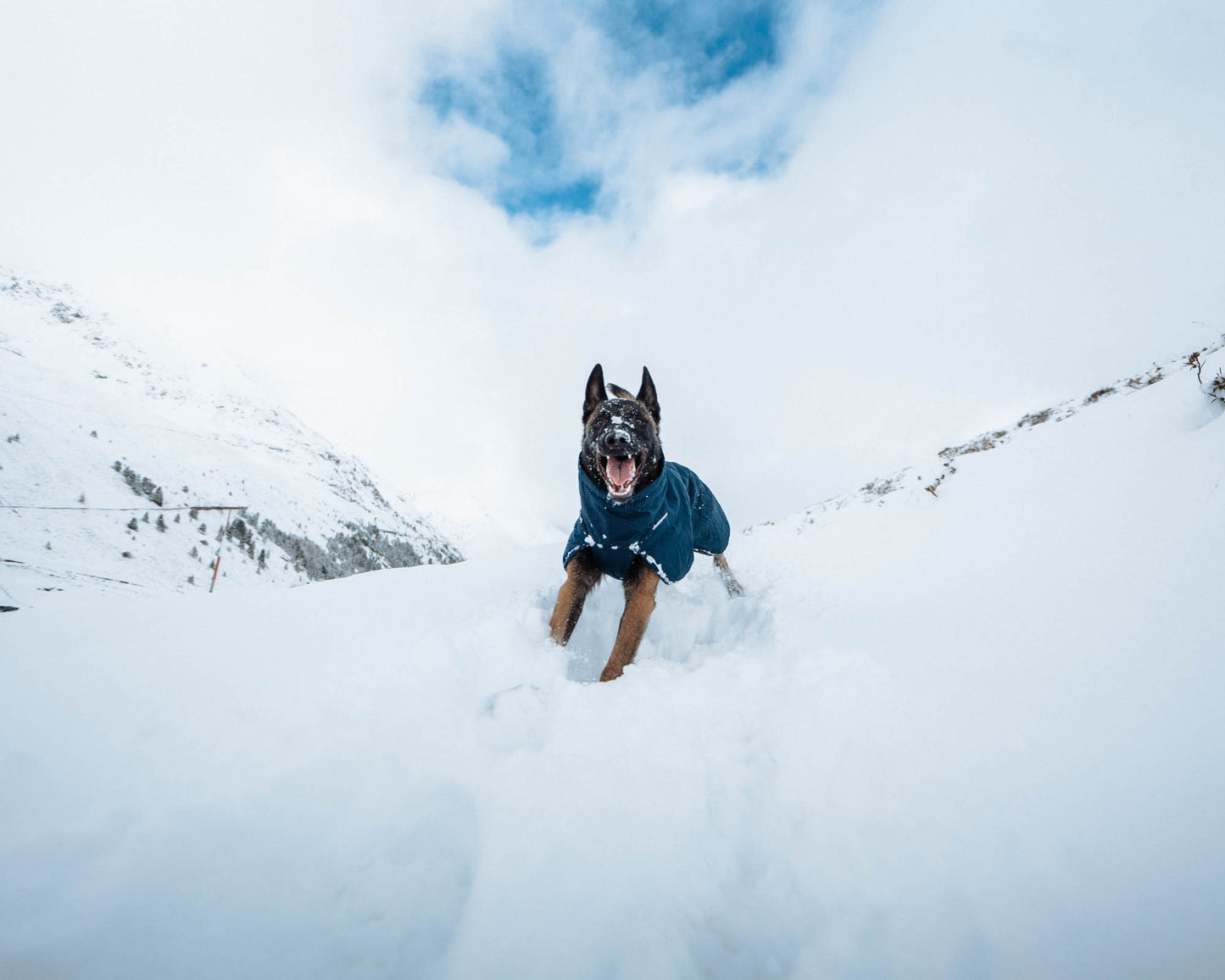 Non-Stop Wintermantel Glacier Wool Jacket 2.0