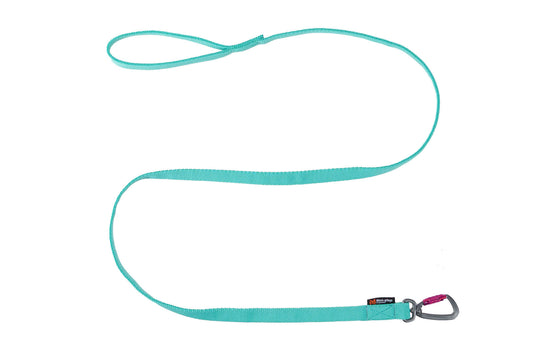 Non-Stop Bungee Leash, Aqua