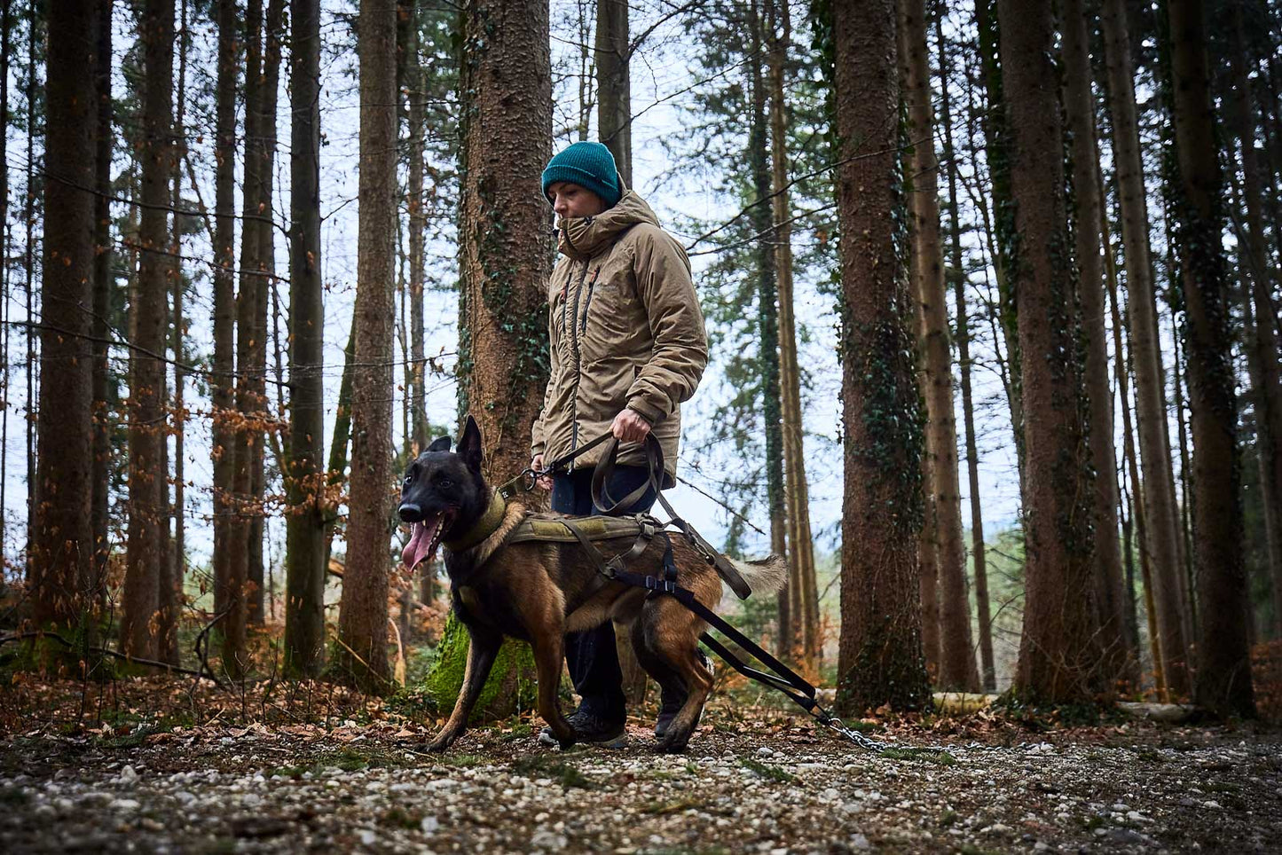 Non-Stop Zuggeschirr Freemotion Working Dog