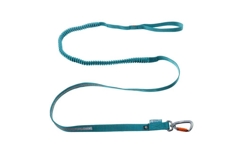 Non-Stop Touring Bungee Leash, Türkis
